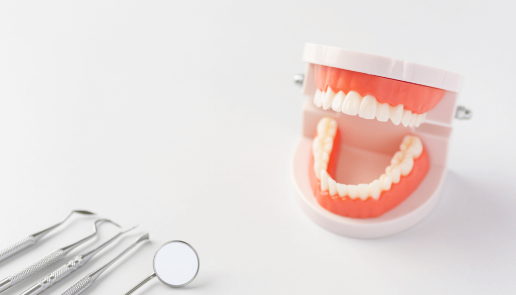 歯の模型と治療道具